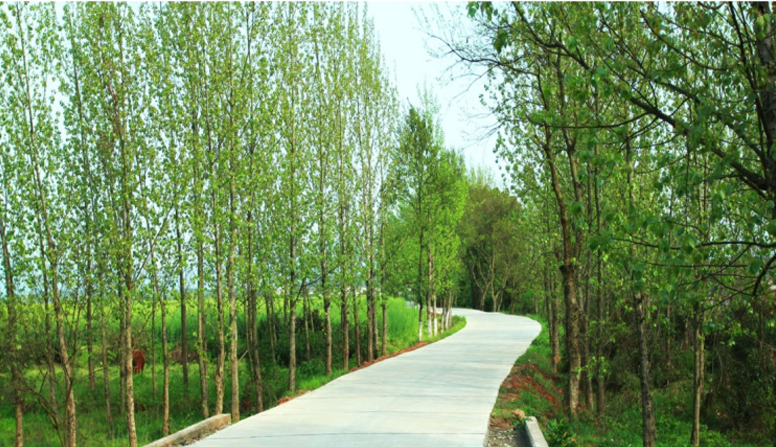 江西信豐縣工業(yè)園科之光路（緯二路）新建大道、產(chǎn)業(yè)大道北段一期工程設(shè)計(jì)、施工總承包（EPC）